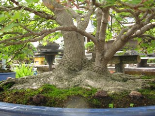 IMG_0287.jpg